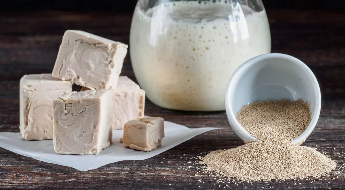 Drożdże do chleba: świeże, suche czy zakwas? Wybierz mądrze!